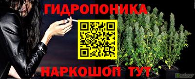 COCAINE Гусь-Хрустальный