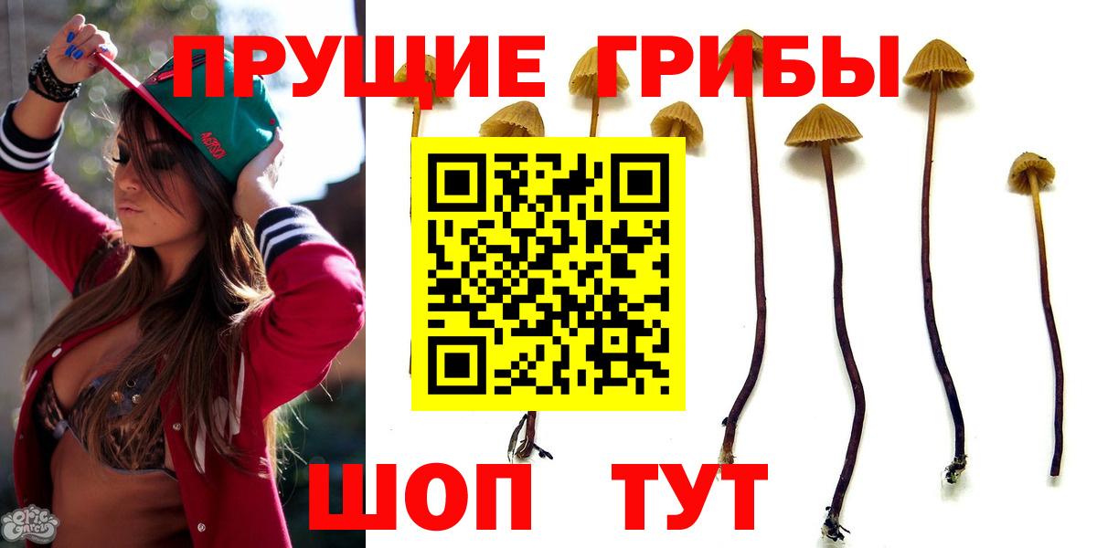 Лесозаводск  даркнет сайт  Вход с VPN  Галлюциногенные грибы мухоморы 